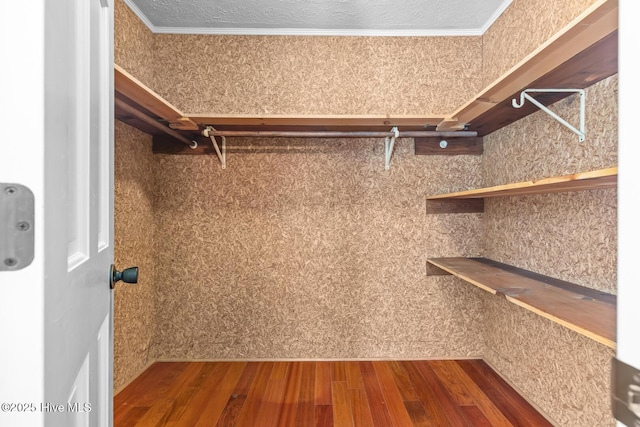 spacious closet featuring hardwood / wood-style floors