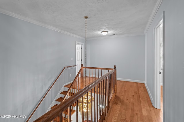 hall with ornamental molding, light wood-type flooring, and a textured ceiling