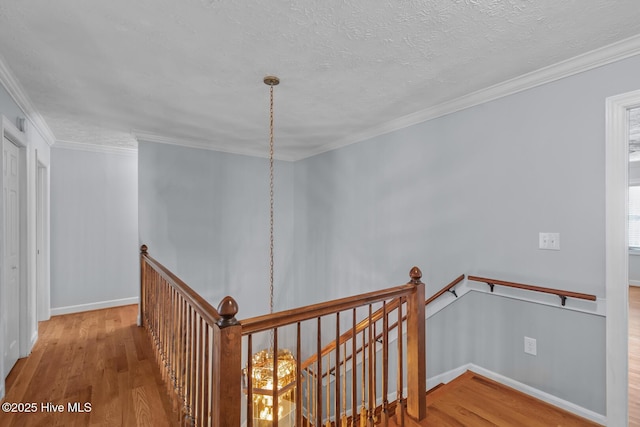 hall featuring a textured ceiling, hardwood / wood-style floors, and crown molding