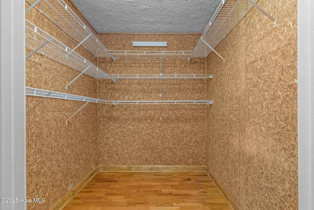 spacious closet featuring hardwood / wood-style floors