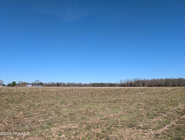 000 Cedar Fork Rd Unit 1, Beulaville NC, 28518 land for sale