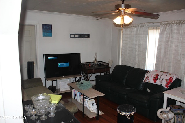 living area featuring dark wood-style floors, a ceiling fan, and crown molding