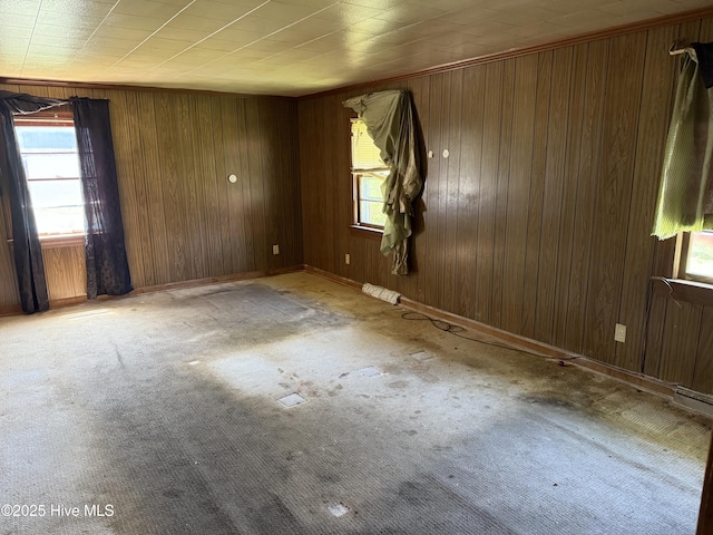 1207 Harrington St, Washington, NC 27889 - carpeted empty room with wood walls