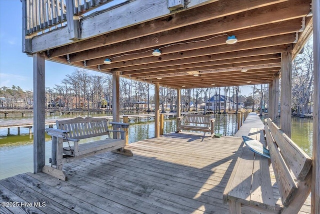 dock area with a water view