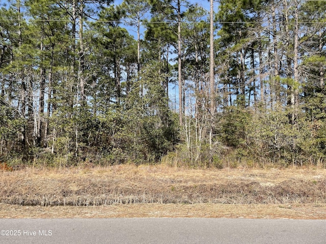 108 Boundaryline Dr NW Unit 67, Calabash NC, 28467 land for sale