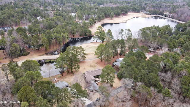 bird's eye view featuring a forest view and a water view