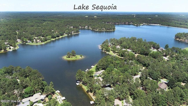 bird's eye view featuring a view of trees and a water view