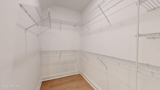 spacious closet featuring wood finished floors