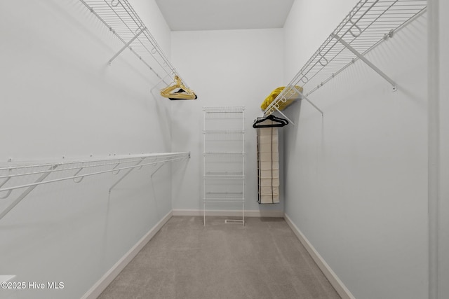 spacious closet with carpet