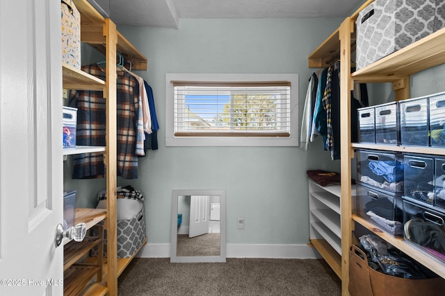 spacious closet with carpet floors