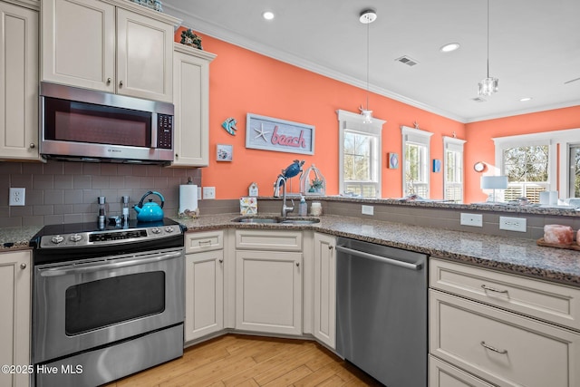 kitchen with plenty of natural light, appliances with stainless steel finishes, a sink, and ornamental molding