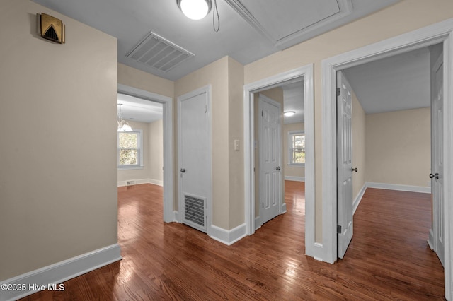 hall with plenty of natural light and dark hardwood / wood-style flooring