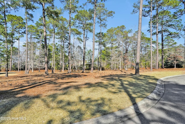 404 River Crest Dr Unit 3, Shallotte NC, 28470 land for sale