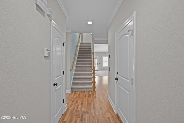 hallway with ornamental molding and light wood-type flooring