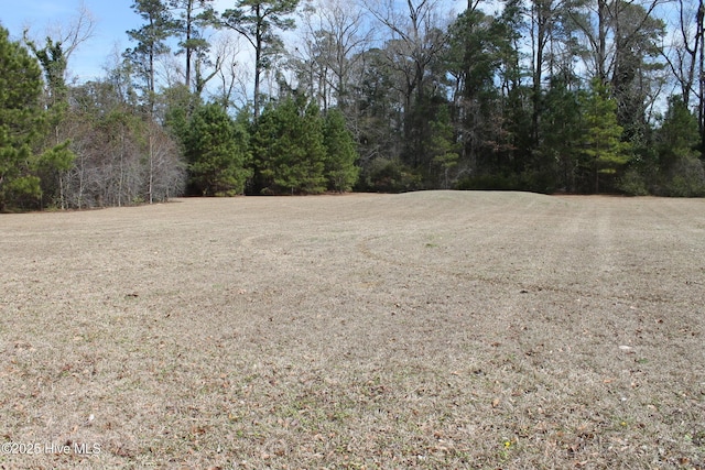 621 Pecan Ln S, Whiteville, NC 28472