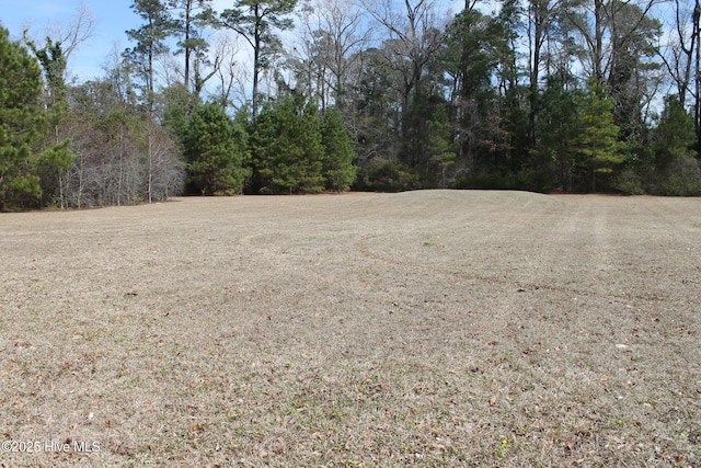 621 Pecan Ln S, Whiteville NC, 28472 land for sale