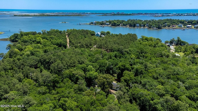 121 Dolphin Ln, Sneads Ferry, NC 28460 - drone / aerial view of a forest and a large body of water