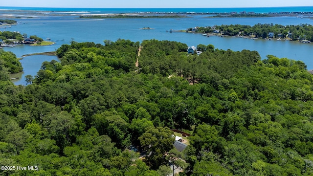 121 Dolphin Ln, Sneads Ferry, NC 28460 - aerial view of a forest and a nearby body of water