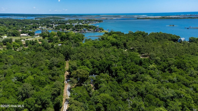 121 Dolphin Ln, Sneads Ferry, NC 28460 - bird's eye view of a forest and a nearby body of water