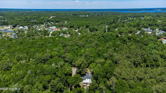 121 Dolphin Ln, Sneads Ferry, NC 28460 - bird's eye view of a heavily wooded area and a large body of water