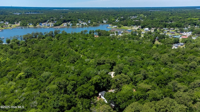 121 Dolphin Ln, Sneads Ferry, NC 28460 - view of property location with a heavily wooded area and a large body of water