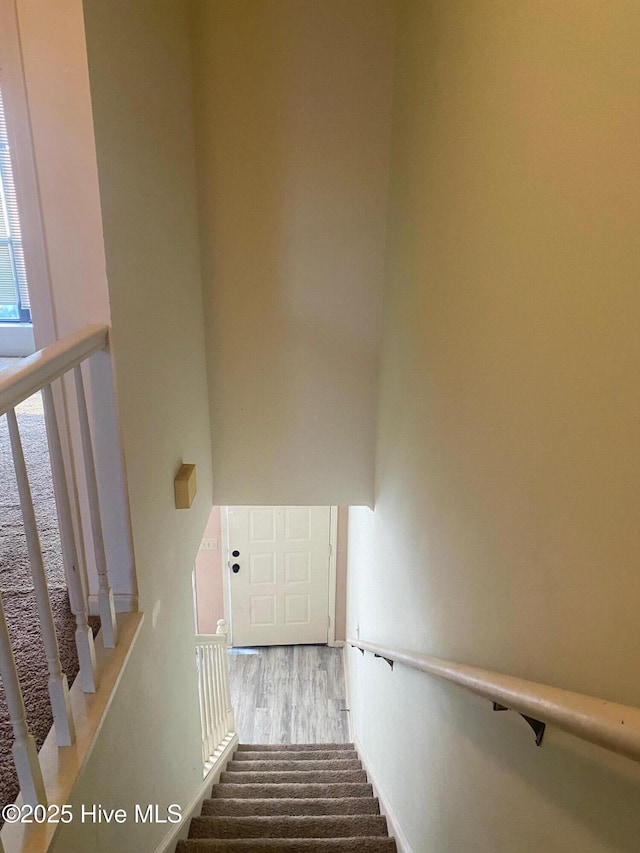 stairway featuring wood finished floors