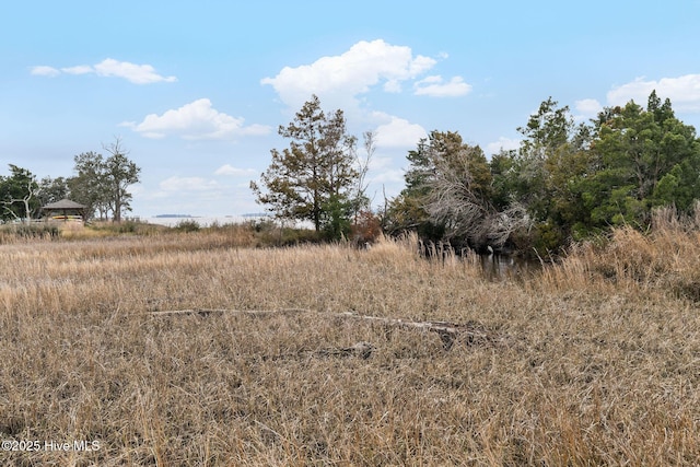 view of local wilderness