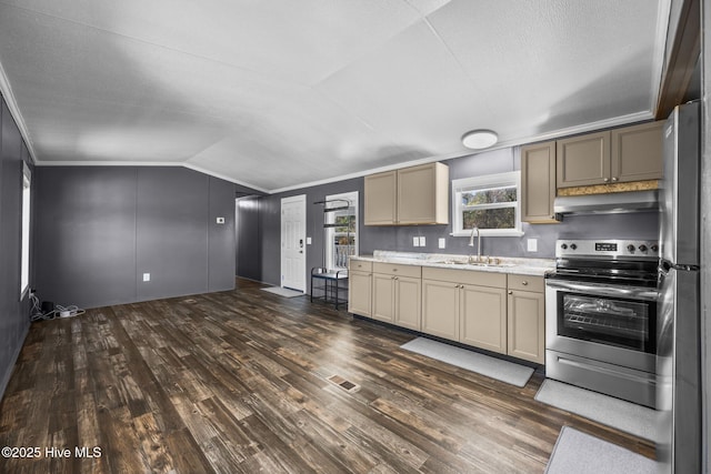 kitchen with vaulted ceiling, a sink, dark wood-style floors, stainless steel appliances, and ornamental molding