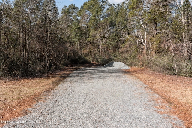 view of street with a wooded view