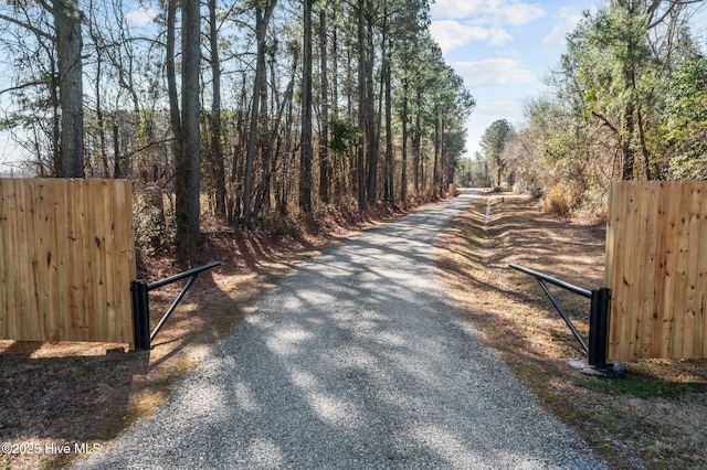 view of street featuring a gated entry