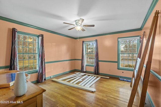 bedroom featuring crown molding, ceiling fan, and wood-type flooring