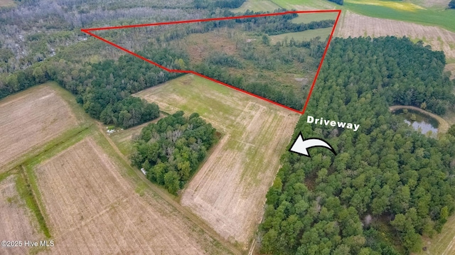 NEAR5303 Braswell Rd, Cerro Gordo NC, 28430 land for sale