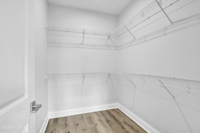 spacious closet featuring hardwood / wood-style flooring