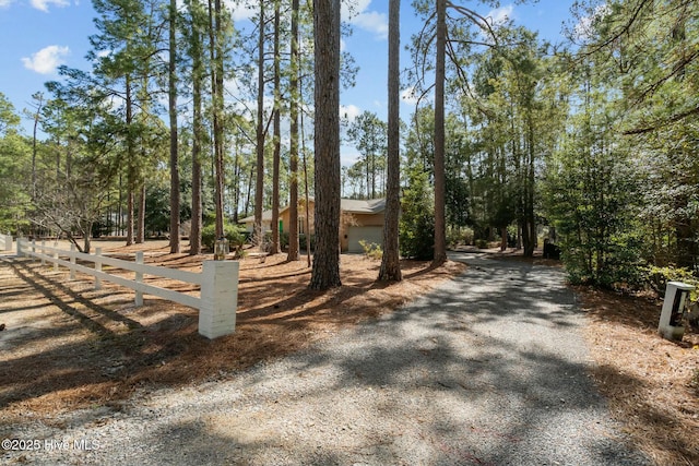 view of road with driveway