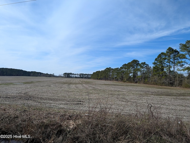 522 Plum Nearly Ln, Trenton NC, 28585 land for sale