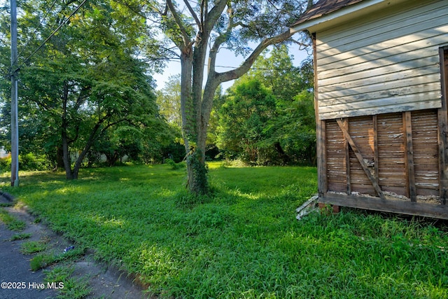 view of yard featuring a storage shed