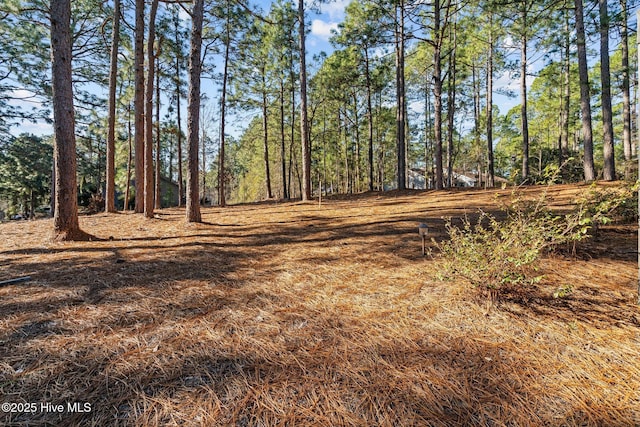 view of local wilderness