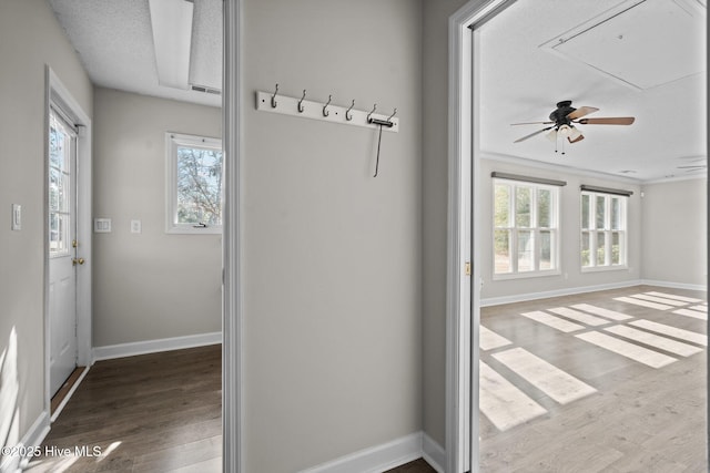 interior space featuring hardwood / wood-style flooring and a textured ceiling