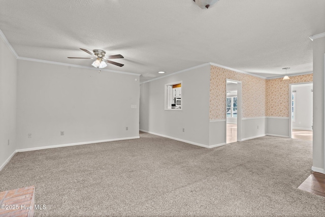 empty room with crown molding, carpet floors, and a textured ceiling