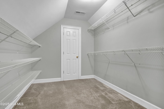 1307 Edgewater Club Rd, Wilmington, NC 28411 - spacious closet featuring vaulted ceiling and carpet floors