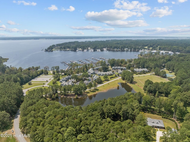 bird's eye view featuring a water view and a view of trees