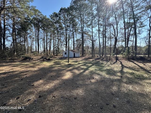 view of yard with an outbuilding and a storage unit