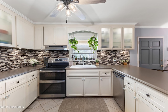 kitchen with tasteful backsplash, stainless steel appliances, crown molding, under cabinet range hood, and a sink