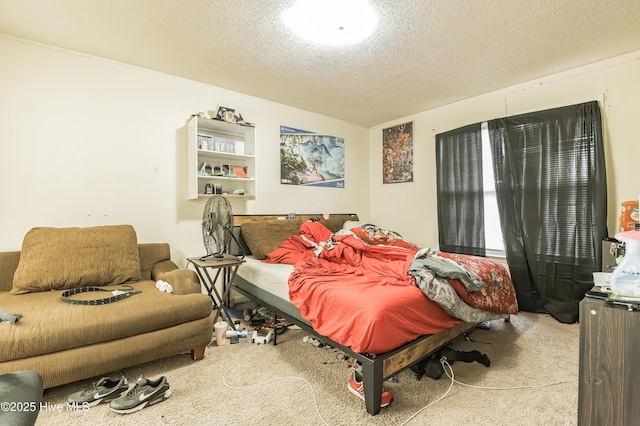 bedroom featuring a textured ceiling