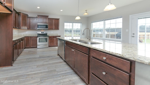 kitchen featuring a wealth of natural light, light wood-style floors, stainless steel appliances, and a sink