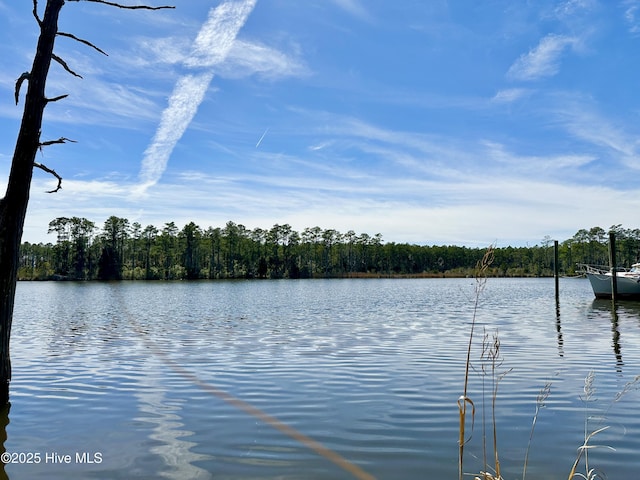 5514 Gondolier Dr Unit 367, New Bern, NC 28560