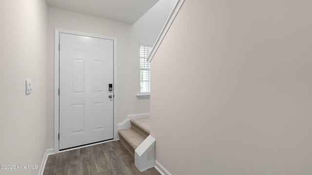 foyer entrance with hardwood / wood-style flooring