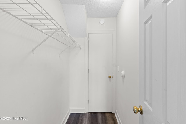 walk in closet with dark wood-style floors
