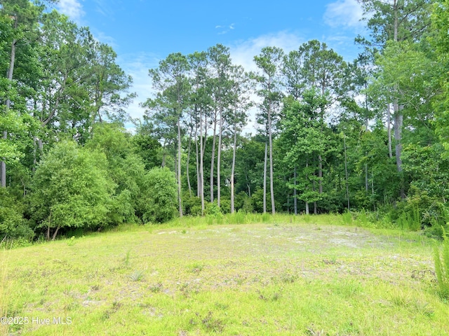 125 River Reach Dr W, Swansboro NC, 28584 land for sale