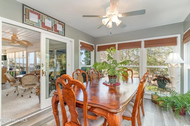 dining room featuring ceiling fan and light hardwood / wood-style floors